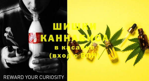 дмт Богородицк
