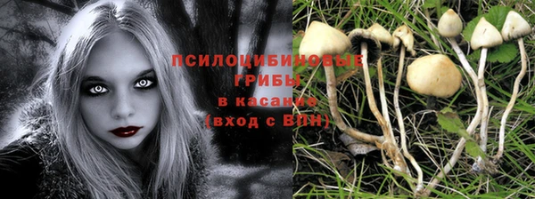 дмт Богородицк