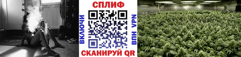 МАРИХУАНА MAZAR  Новокузнецк 